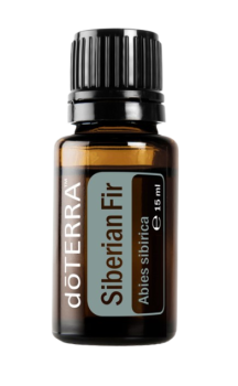 Siberian Fir (Sibirische Tanne) Abies sibirica  15 ml. Flasche
